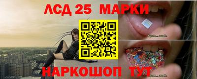 стаф Нальчик
