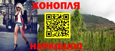 стаф Нальчик