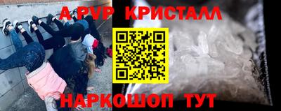 стаф Нальчик
