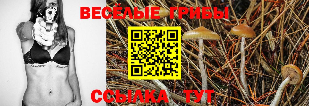 Псилоцибиновые грибы GOLDEN TEACHER  Вход с VPN  Шадринск 
