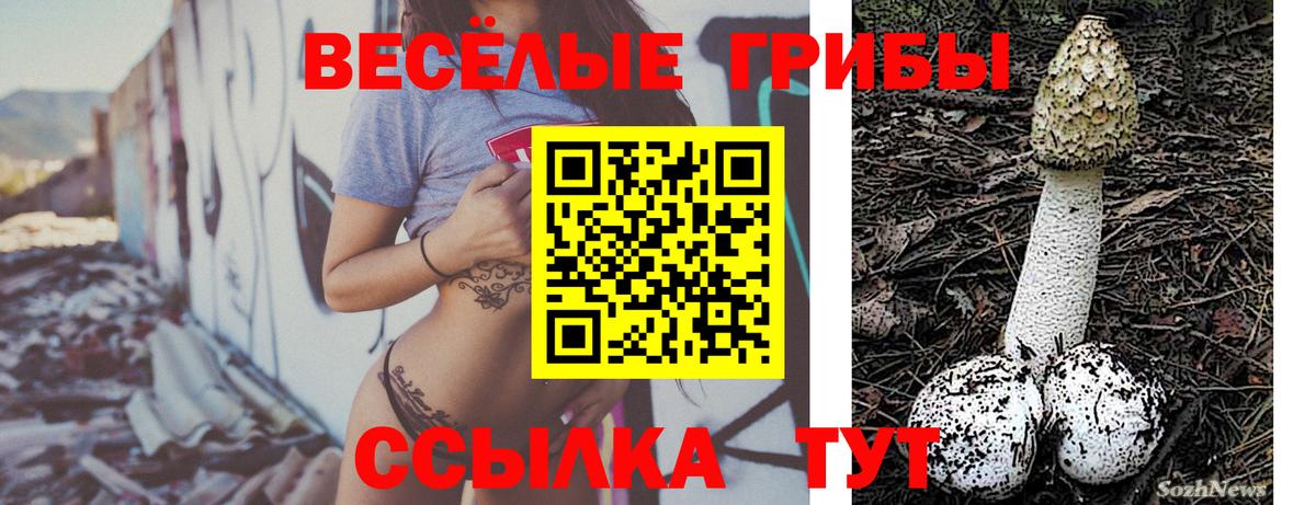 Галлюциногенные грибы MAGIC MUSHROOMS Шадринск
