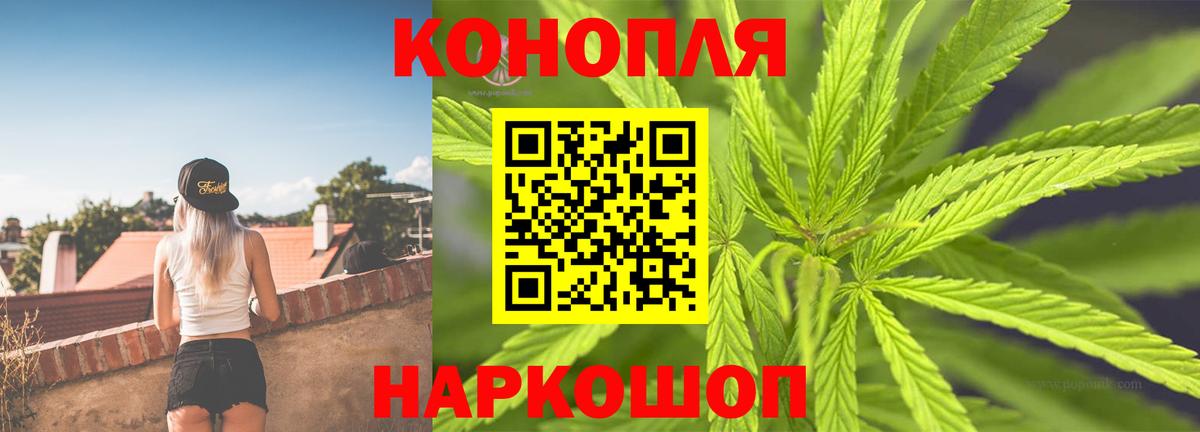 Шадринск  Бошки марихуана VHQ  Вход с VPN  Конопля Bruce Banner 